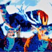 Konrad Winter - Rotwild