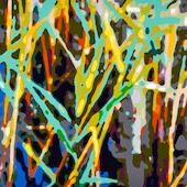 Konrad Winter - Schilf