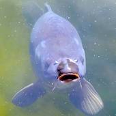 Blick in die Ausstellung