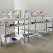 Blick in die Ausstellung