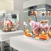 Blick in die Ausstellung