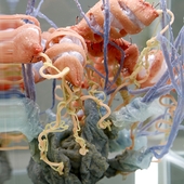 Blick in die Ausstellung