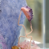 Blick in die Ausstellung