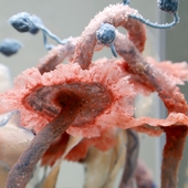 Blick in die Ausstellung