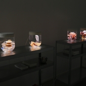 Blick in die Ausstellung