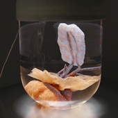 Blick in die Ausstellung