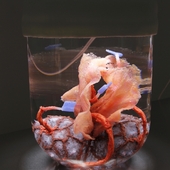 Blick in die Ausstellung