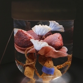 Blick in die Ausstellung