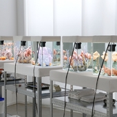 Blick in die Ausstellung