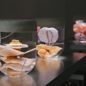 Blick in die Ausstellung