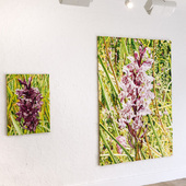 Blick in die Ausstellung