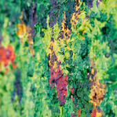 Blick in die Ausstellung