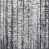 JKB Fletcher - Untitled as part of the Abundance series (3)