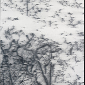 JKB Fletcher - Untitled as part of the Blossom series (1), 2022, Öl auf Leinwand