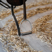 Blick in die Ausstellung