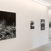 Blick in die Ausstellung