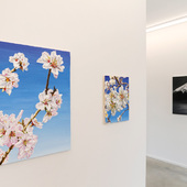 Blick in die Ausstellung