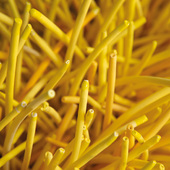 Blick in die Ausstellung