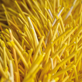 Blick in die Ausstellung