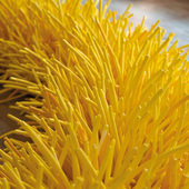 Blick in die Ausstellung