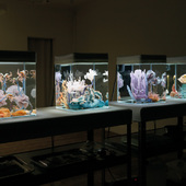 Blick in die Ausstellung