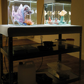 Blick in die Ausstellung