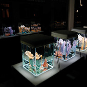 Blick in die Ausstellung