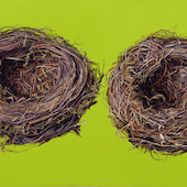 Günter Beier - 2 Vogelnester