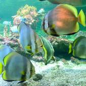 Blick in die Ausstellung