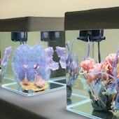 Blick in die Ausstellung