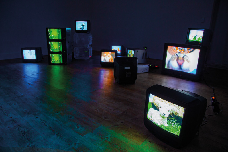 Blick in die Ausstellung