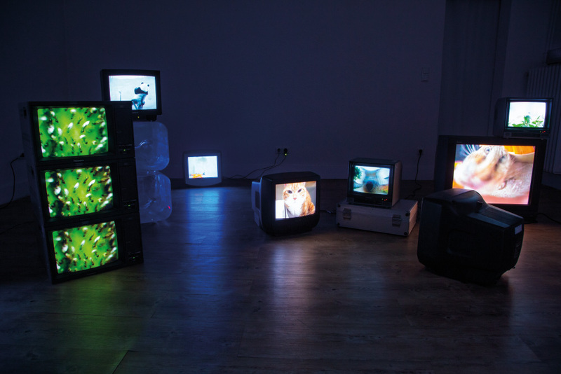 Blick in die Ausstellung