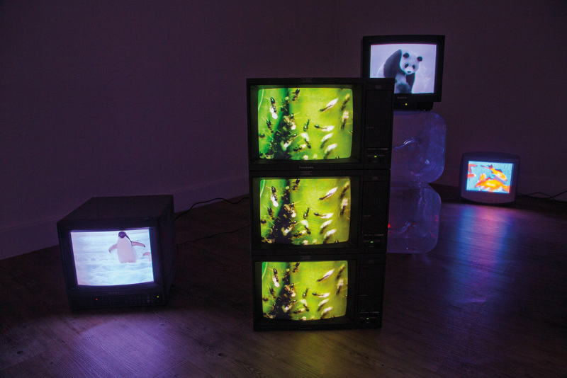 Blick in die Ausstellung