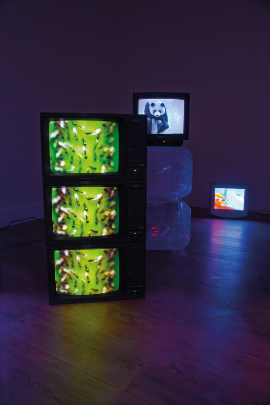 Blick in die Ausstellung