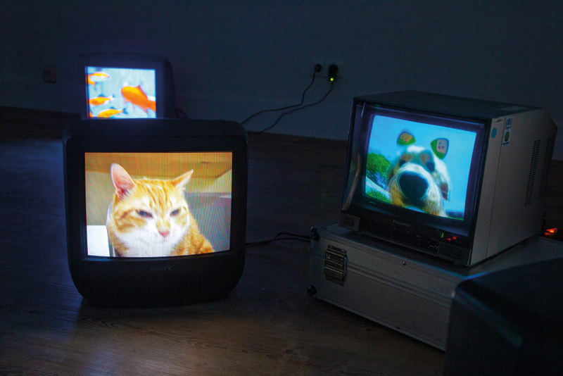 Blick in die Ausstellung