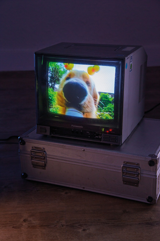 Blick in die Ausstellung