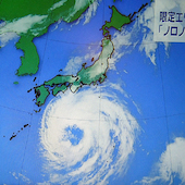 Blick in die Ausstellung