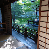 Blick in die Ausstellung