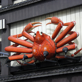 Blick in die Ausstellung