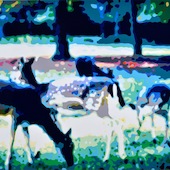 Konrad Winter - Wild, 2020, Autolack auf Aluminium, manuelle Malerei