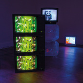 Blick in die Ausstellung