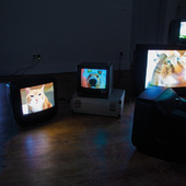 Blick in die Ausstellung