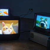 Blick in die Ausstellung